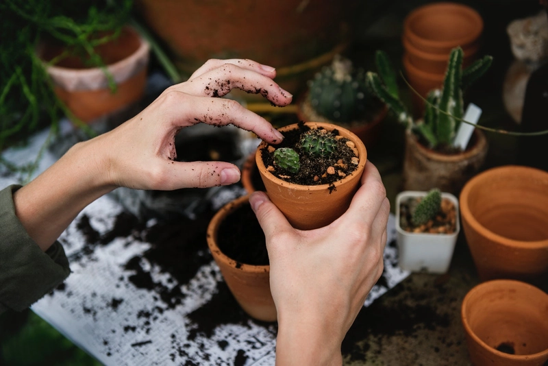 Planting a garden
